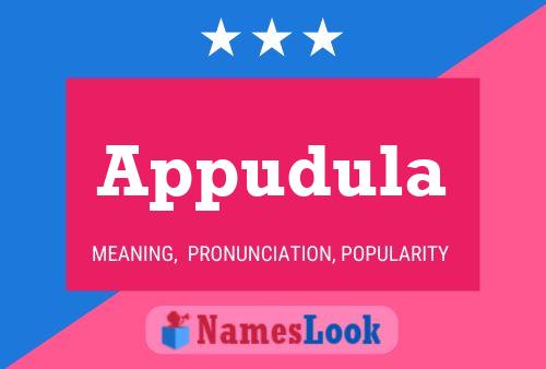 Appudula Name Poster