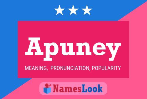 Apuney Name Poster