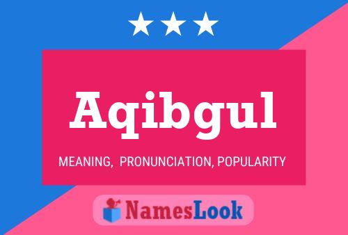 Aqibgul Name Poster