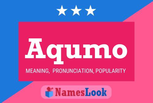 Aqumo Name Poster