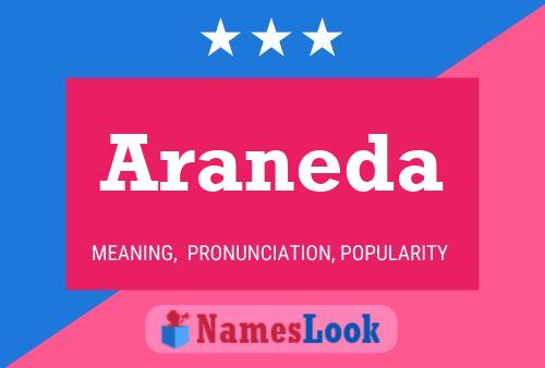 Araneda Name Poster