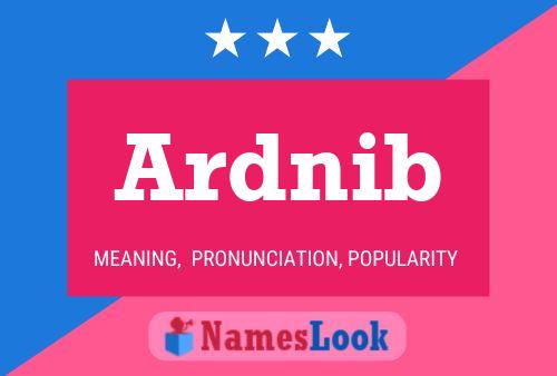 Ardnib Name Poster