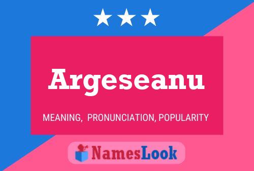 Argeseanu Name Poster