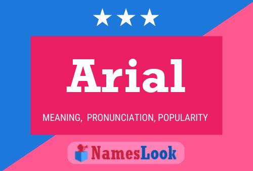 Arial Name Poster