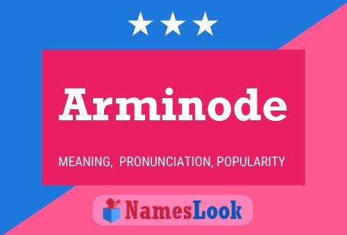 Arminode Name Poster