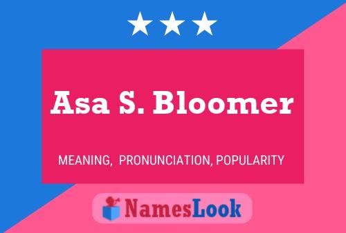 Asa S. Bloomer Name Poster