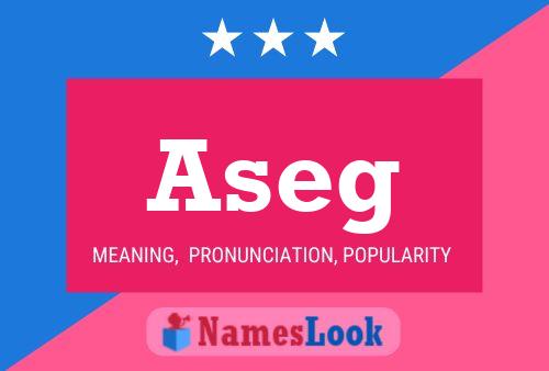 Aseg Name Poster