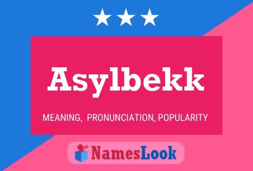 Asylbekk Name Poster