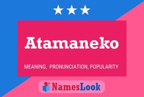 Atamaneko Name Poster