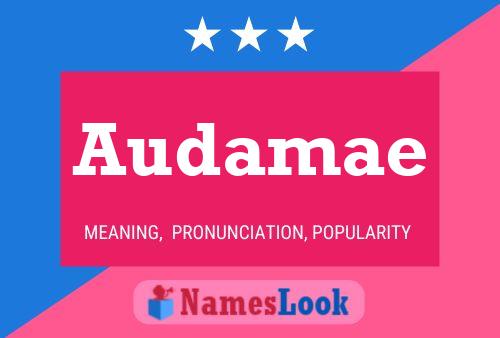 Audamae Name Poster