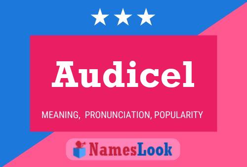 Audicel Name Poster