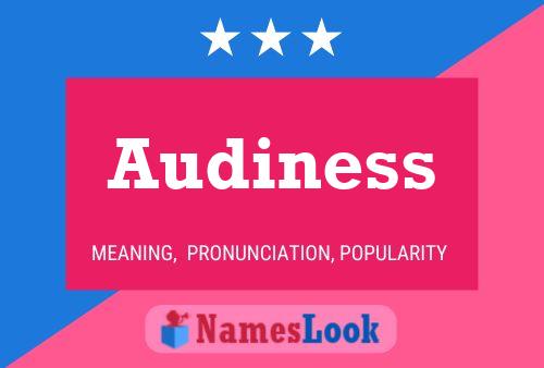 Audiness Name Poster