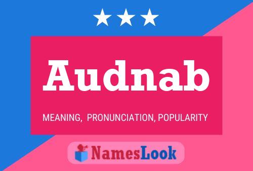 Audnab Name Poster