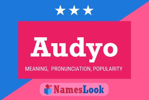 Audyo Name Poster