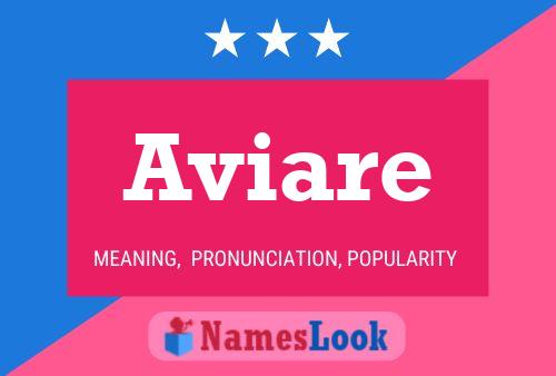 Aviare Name Poster