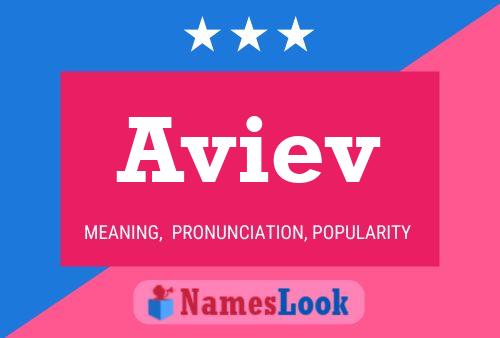 Aviev Name Poster