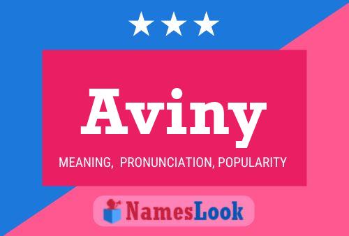 Aviny Name Poster