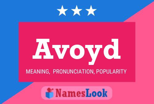 Avoyd Name Poster