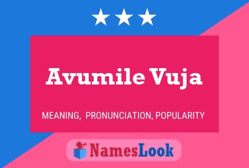 Avumile Vuja Name Poster