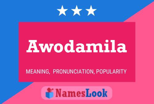 Awodamila Name Poster