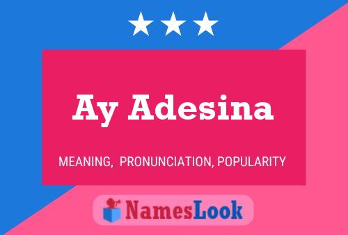 Ay Adesina Name Poster