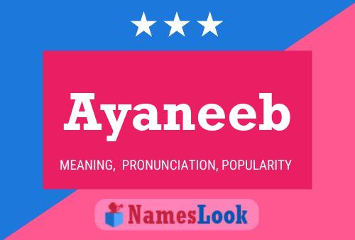 Ayaneeb Name Poster