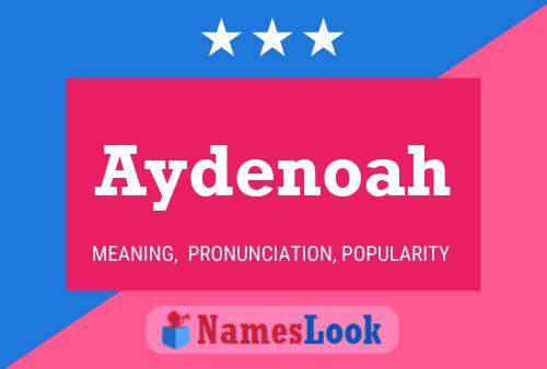 Aydenoah Name Poster