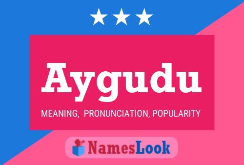 Aygudu Name Poster