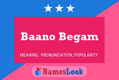 Baano Begam Name Poster