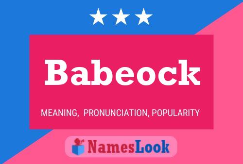 Babeock Name Poster