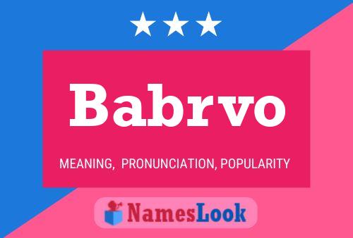 Babrvo Name Poster