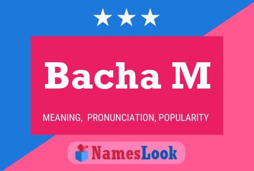 Bacha M Name Poster