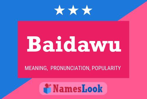 Baidawu Name Poster