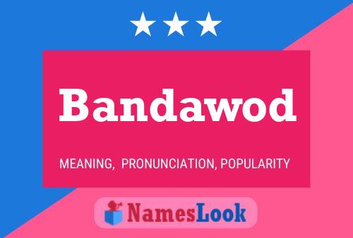 Bandawod Name Poster