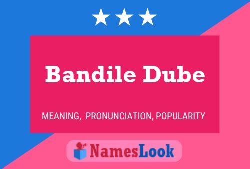 Bandile Dube Name Poster