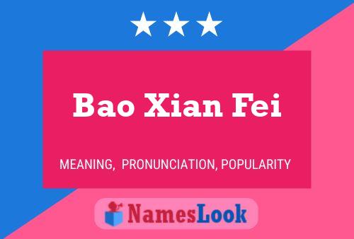 Bao Xian Fei Name Poster