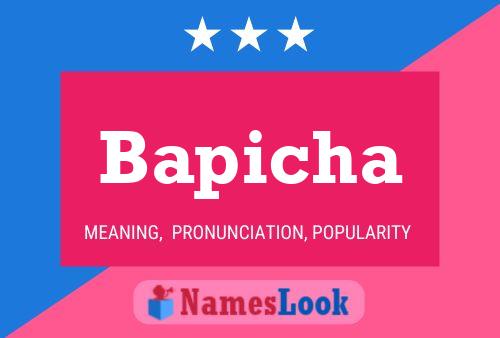 Bapicha Name Poster