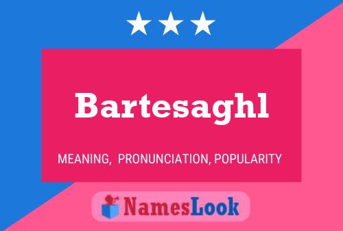 Bartesaghl Name Poster