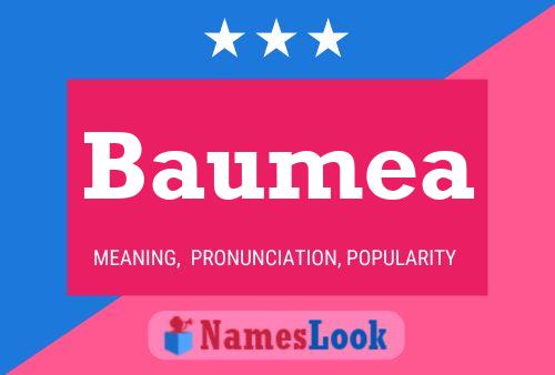 Baumea Name Poster