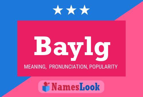 Baylg Name Poster