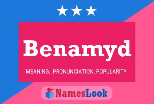 Benamyd Name Poster