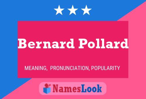 Bernard Pollard Name Poster