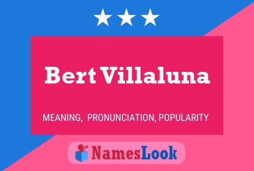 Bert Villaluna Name Poster