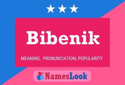 Bibenik Name Poster