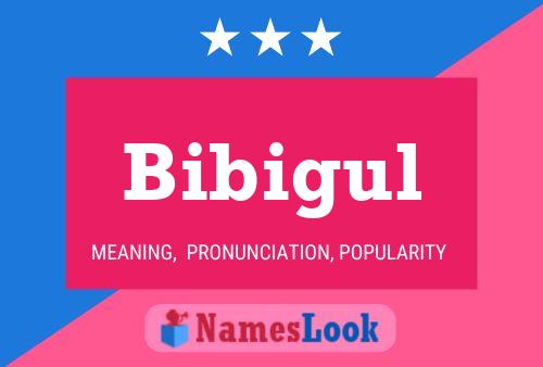 Bibigul Name Poster