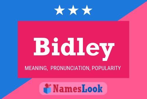 Bidley Name Poster