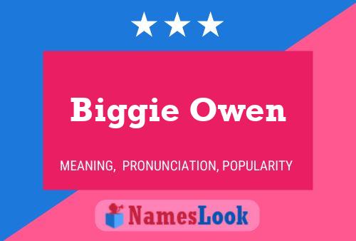 Biggie Owen Name Poster