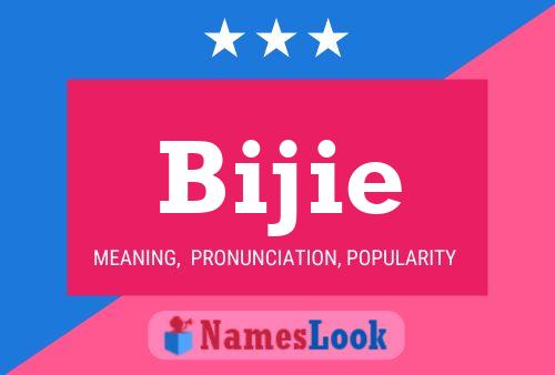 Bijie Name Poster