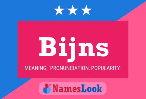 Bijns Name Poster