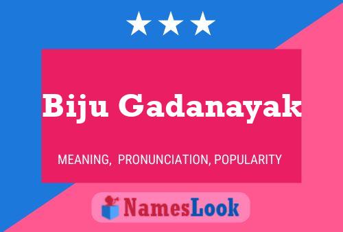 Biju Gadanayak Name Poster